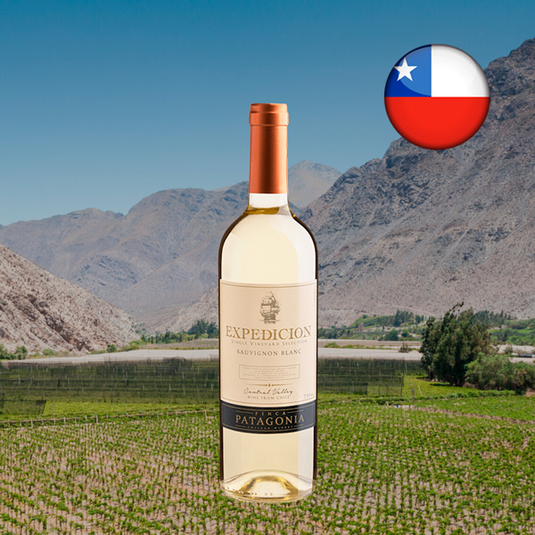 Expedicion Single Vineyard Selection Sauvignon Blanc Central Valley DO 2024 - Oferta