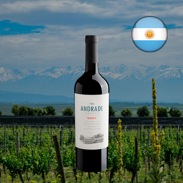 Finca Andrade Malbec 2024 - Oferta