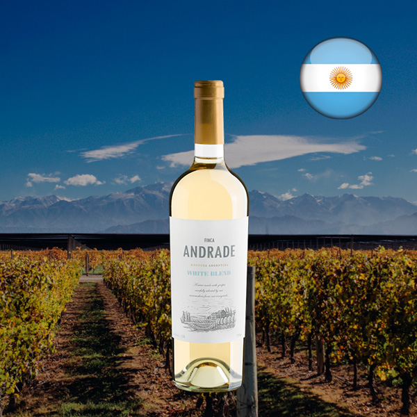 Finca Andrade White Blend 2024 - Oferta