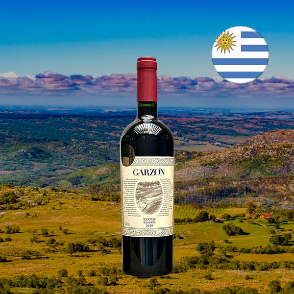 Garzón Reserva Tannat 2020 - Oferta