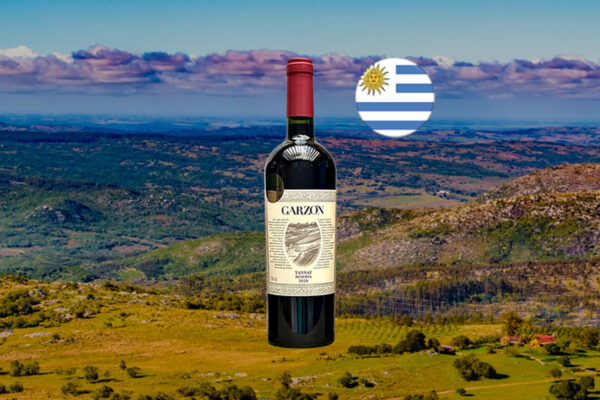 Garzón Reserva Tannat 2020 - Thumbnail