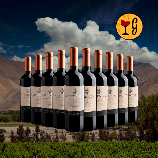 Kit 10 Vinhos do Chile com Desconto Imperdível – Cabernet Sauvignon e Carménère por menos de R$27 cada - Oferta
