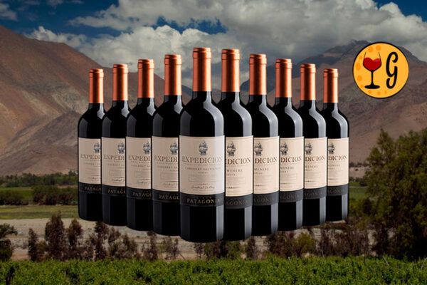 Kit 10 Vinhos do Chile com Desconto Imperdível – Cabernet Sauvignon e Carménère por menos de R$27 cada - Thumbnail