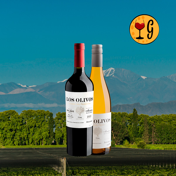Kit 2 Vinhos Zuccardi Los Olivos - Mendoza em Branco e Tinto com Preço Especial - Oferta