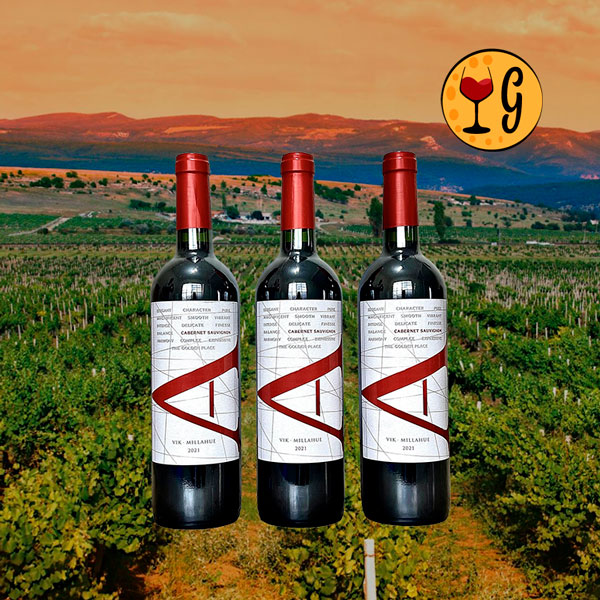 Kit 3 Garrafas Vik A Cabernet Sauvignon 2021 – Excelência e Exclusividade Multiplicadas por Três - Oferta