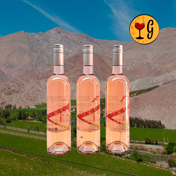 Kit 3 Garrafas Vik A Rosé 2022 – Encanto Rosé Triplicado para Brindes Glamorosos - Oferta