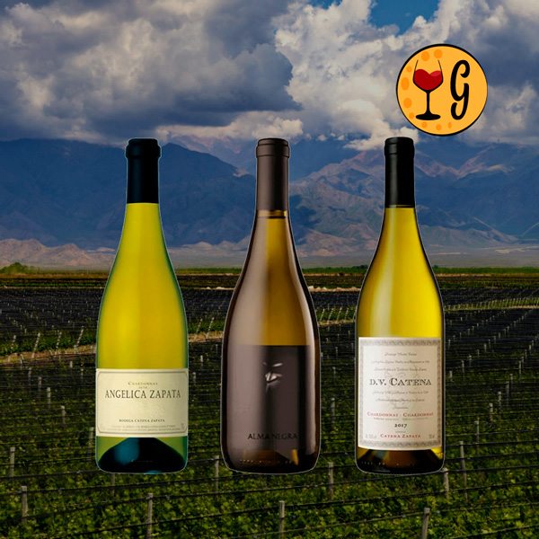 Kit 3 Vinhos Brancos Argentinos Premium – Elegância Andina em Cada Taça - Oferta