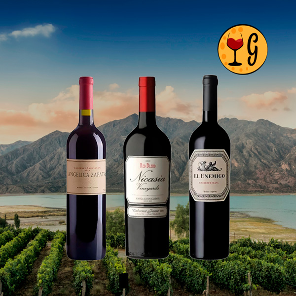 Kit 3 Vinhos Cabernet Franc Argentinos – Três Rótulos Raros de Mendoza - Oferta
