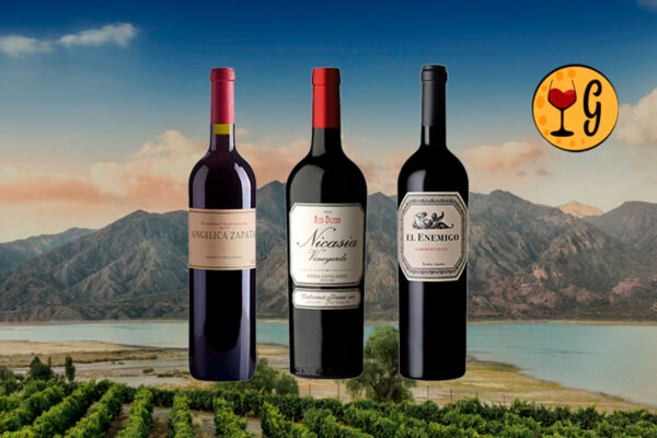 Kit 3 Vinhos Cabernet Franc Argentinos – Três Rótulos Raros de Mendoza - Thumbnail
