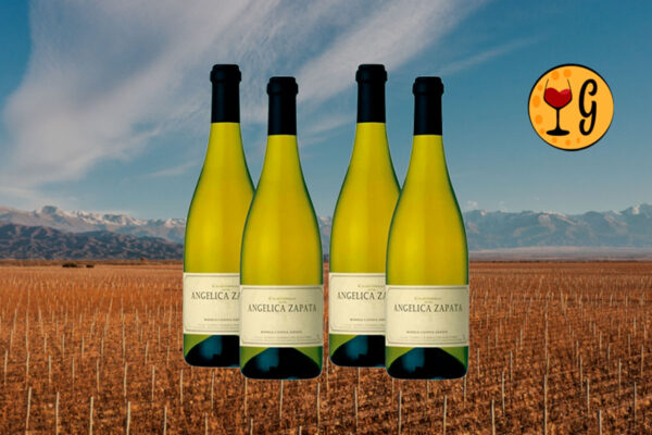 Kit 4 Garrafas Angélica Zapata Chardonnay – Elegância em Dose Quádrupla - Thumbnail