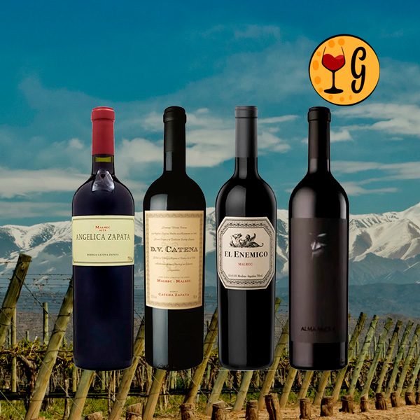Kit 4 Malbecs de Elite – Quatro Tesouros de Mendoza - Oferta