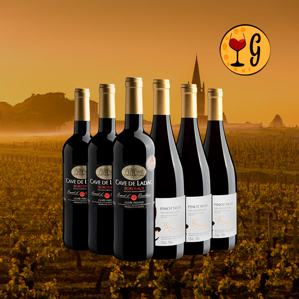 Kit 6 Best Sellers da França – Bordeaux e Pinot Noir a Preço Imperdível - Oferta