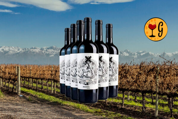 Kit 6 Garrafas Cordero Con Piel de Lobo Malbec 2022 – Malbec Rebelde Intensidade e Frescor em Seis Garrafas - Thumbnail