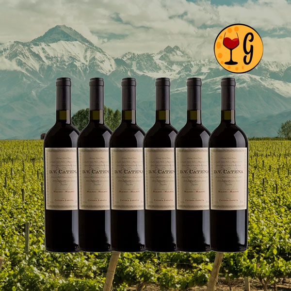 Kit 6 Garrafas DV Catena Malbec-Malbec – Malbec em Dobro, Prazer Multiplicado por Seis - Oferta