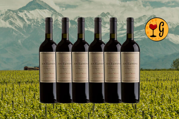 Kit 6 Garrafas DV Catena Malbec-Malbec – Malbec em Dobro, Prazer Multiplicado por Seis - Thumbnail