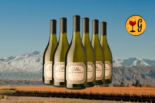 Kit 6 Garrafas El Enemigo Chardonnay 2022 – O Chardonnay Icônico de Mendoza em Oferta Especial - Thumbnail