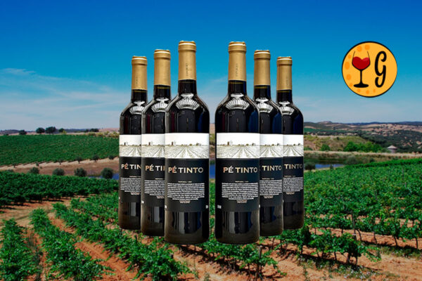 Kit 6 Garrafas Esporão Pé Tinto – Tradição e Sabor do Alentejo Multiplicados por Seis - Thumbnail