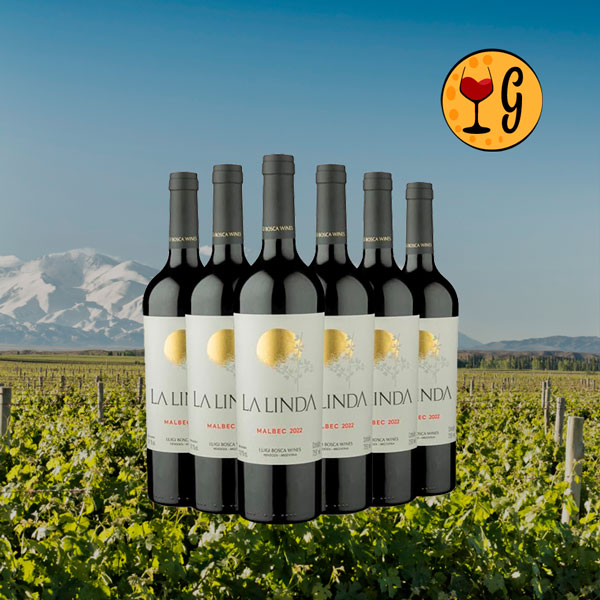 Kit 4 Garrafas Angélica Zapata Malbec Alta 2020 – Exclusividade em Dose Quádrupla - Oferta