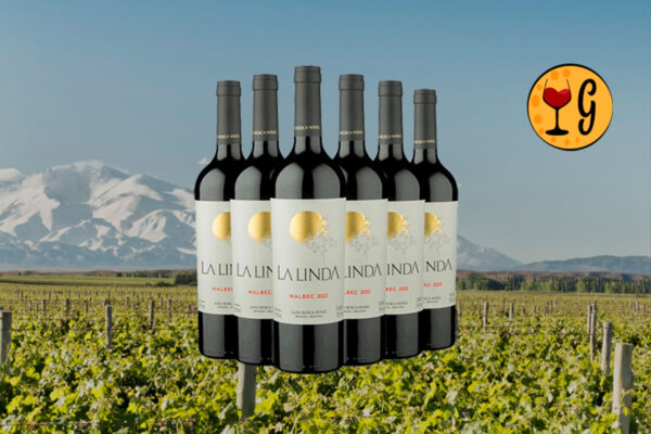 Kit 6 Garrafas La Linda Malbec 2022 – Paixão de Mendoza Multiplicada em Seis Rótulos - Thumbnail