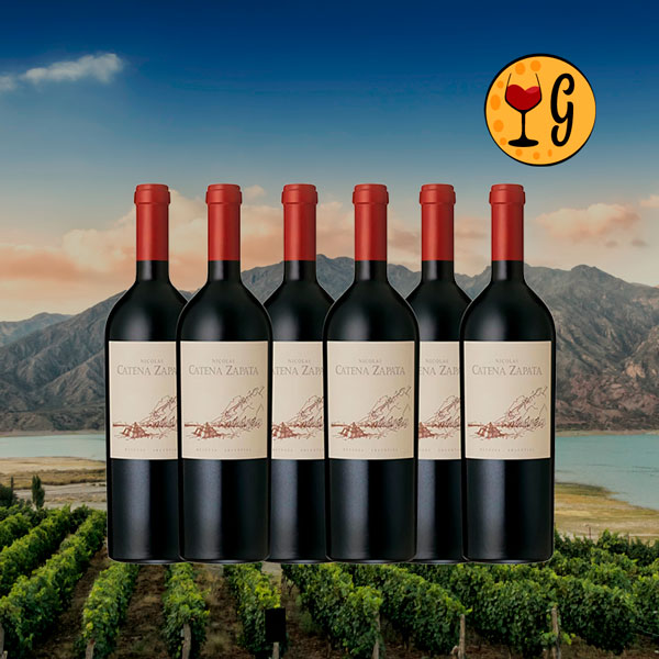Kit 6 Garrafas Nicolás Catena Zapata – Exclusividade em Dose Séxtupla - Oferta