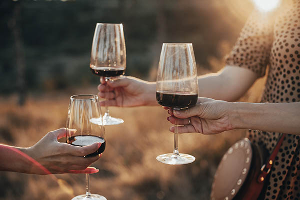 Kit 6 Garrafas Yellow Tail Shiraz 2021 – Potência & Maciez Australianas Multiplicadas por Seis - Brindando