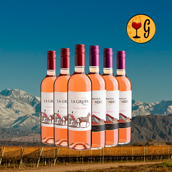 Kit 6 Rosés Argentinos – Refrescância de Mendoza o Ano Inteiro - Oferta