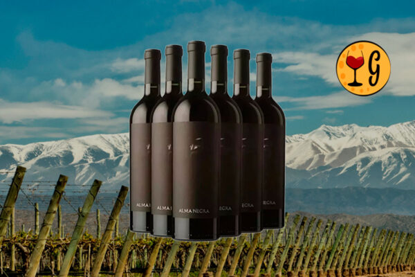 Kit 6 Vinhos Alma Negra – Mistério e Sofisticação do Terroir Argentino - Thumbnail