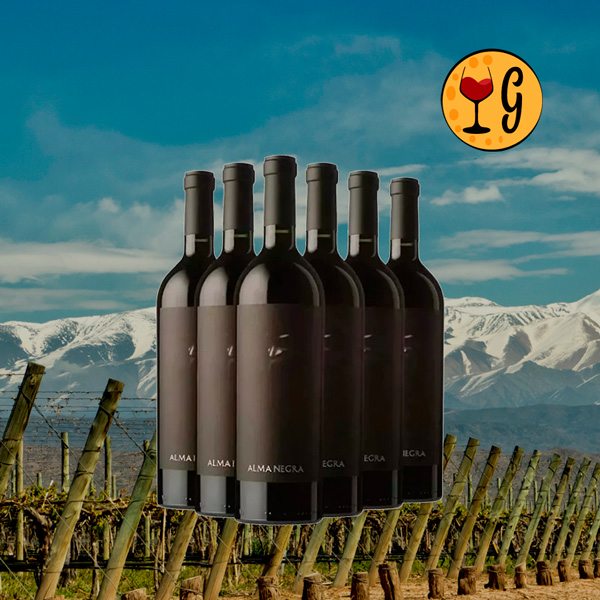 Kit 6 Vinhos Alma Negra – Mistério e Sofisticação do Terroir Argentino - Oferta