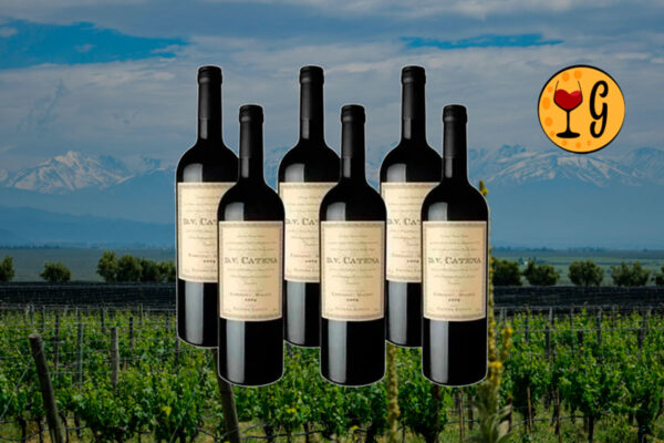 Kit 6 Vinhos DV Catena Cabernet Malbec – Celebração da Maestria Argentina em Seis Garrafas - Thumbnail