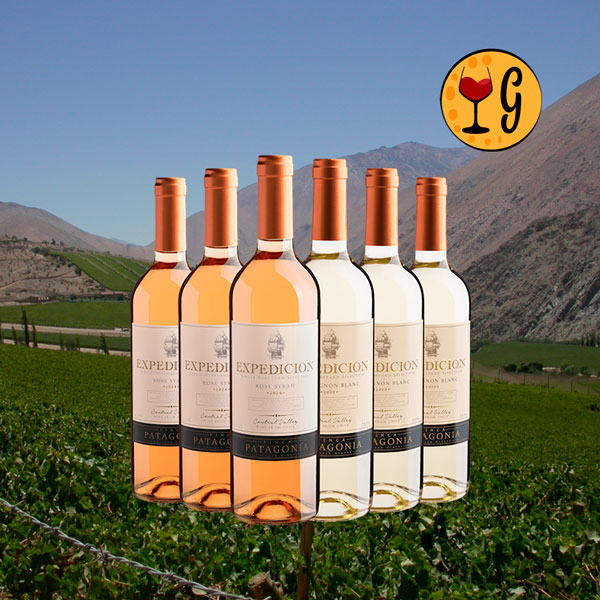 Kit 6 Vinhos Frescor em Dobro – Rosé Syrah e Sauvignon Blanc Chilenos para Brindes Inesquecíveis - Oferta
