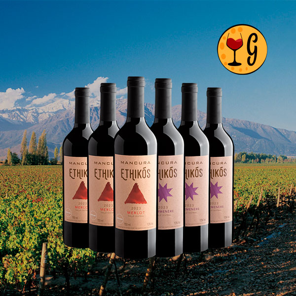 Kit 6 Vinhos Mancura Ethikós – Merlot & Carménère em Dose Tripla a Preço Especial - Oferta