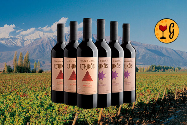 Kit 6 Vinhos Mancura Ethikós – Merlot & Carménère em Dose Tripla a Preço Especial - Thumbnail