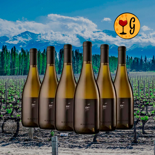 Kit Alma Negra Blanco 2022 – o Branco Argentino Enigmático em Seis Garrafas Exclusivas - Oferta