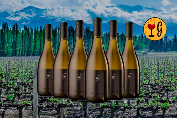Kit Alma Negra Blanco 2022 – o Branco Argentino Enigmático em Seis Garrafas Exclusivas - Thumbnail