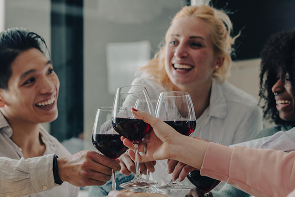 Kit Condado de Haza Crianza e Reserva – Duas Joias da Ribera del Duero para Paladares Exigentes - Brindando