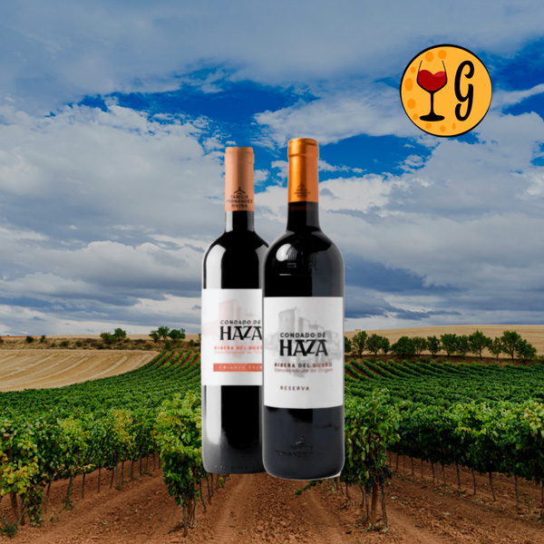 Kit Condado de Haza Crianza e Reserva – Duas Joias da Ribera del Duero para Paladares Exigentes - Oferta