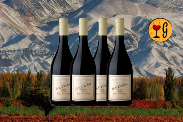 Kit DV Catena Histórico Malbec-Petit Verdot 2022 – O Legado de Don Domingo Renascido - Thumbnail