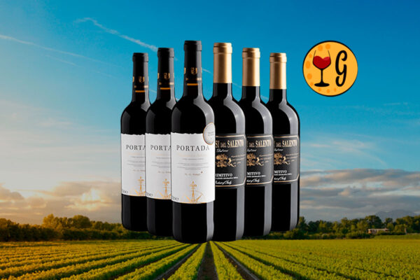 Kit Encontro Luso-Italiano – 3 Portada Winemaker’s Selection 2021 + 3 Marchesi del Salento Primitivo 2022 a Preço Especial - Thumbnail