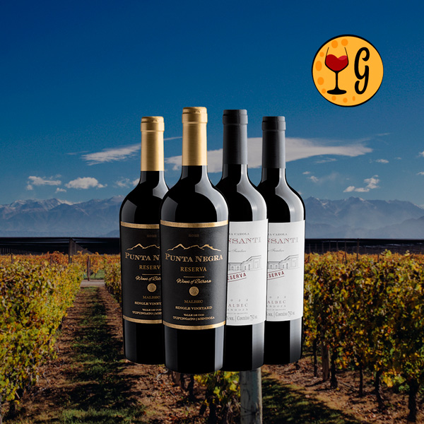 Kit Malbec Veludo e Violeta - 2 Malbecs Argentinos em Oferta Exclusiva - Oferta