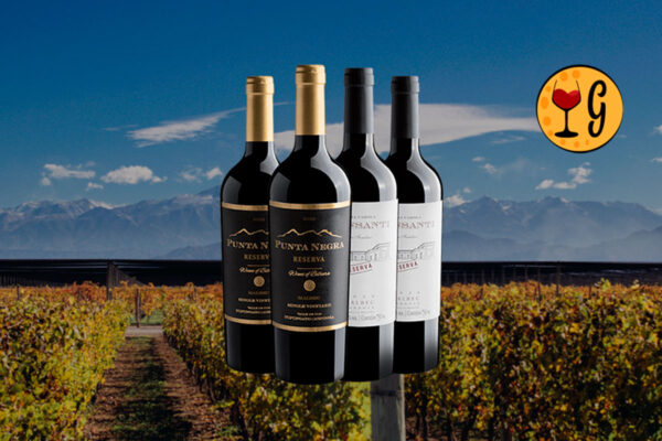 Kit Malbec Veludo e Violeta - 2 Malbecs Argentinos em Oferta Exclusiva - Thumbnail