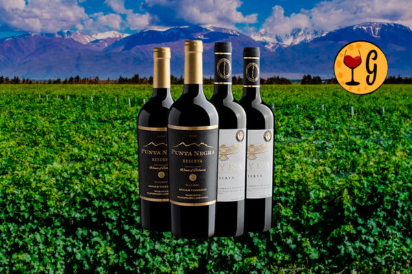 Kit Reservas Premiados do Novo Mundo – Malbec de Mendoza & Cabernet do Chile em Oferta Imperdível - Thumbnail