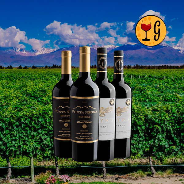 Kit Reservas Premiados do Novo Mundo – Malbec de Mendoza & Cabernet do Chile em Oferta Imperdível - Oferta