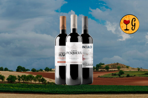 Kit Trilogia Tempranillo Crianza - Pesquera, Condado de Haza e El Vínculo – Três Tempranillos de Prestígio em uma Trilogia Lendária - Thumbnail