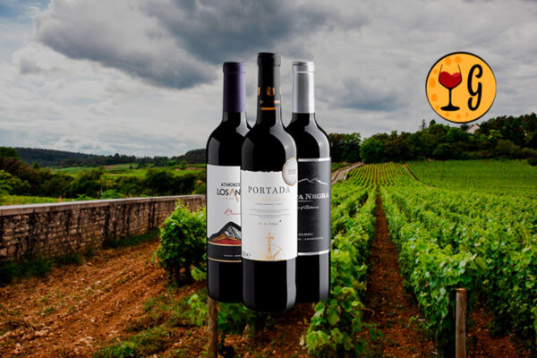 Kit Trio de Ouro – 3 Vinhos Celebrados a Preço Promocional - Thumbnail