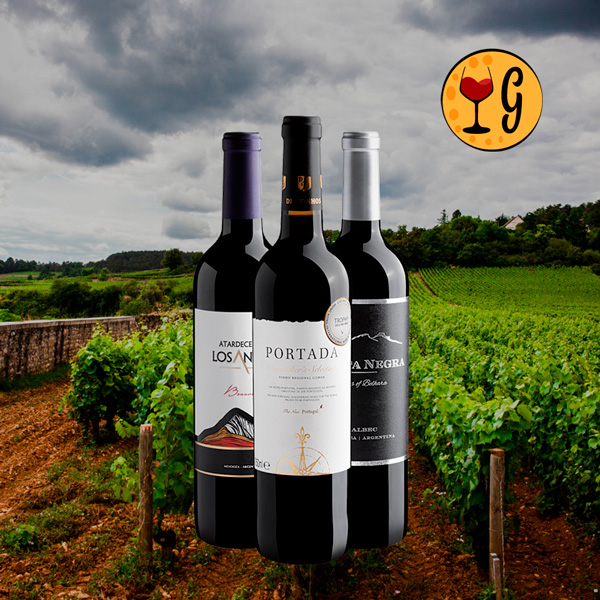 Kit Trio de Ouro – 3 Vinhos Celebrados a Preço Promocional - Oferta