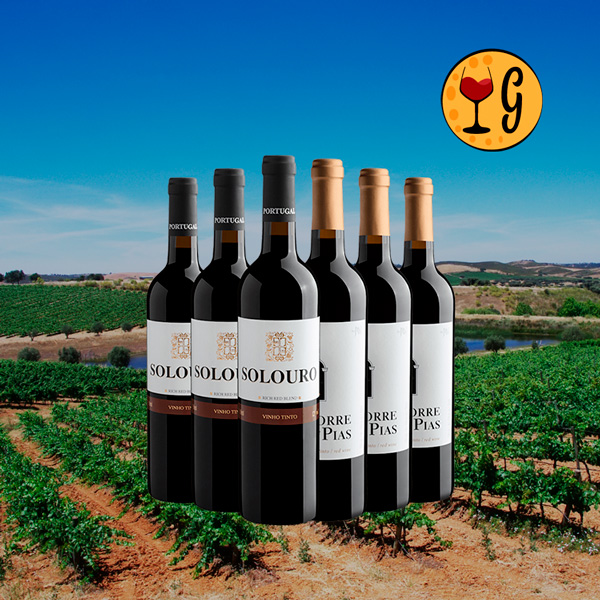 Kit Viagem por Portugal – 2 Tintos do Norte ao Sul por R$29,90 cada garrafa - Oferta