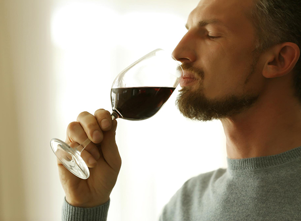 Land of Malbec Malbec 2024 - Degustando