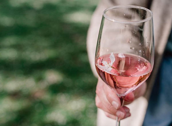 Les Calandières Rosé Terres du Midi IGP 2024 - Degustando