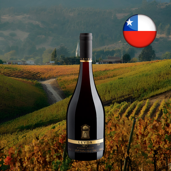 Leyda Lot 21 Pinot Noir Valle de Leyda DO 2019 - Oferta