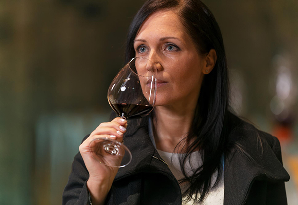 On The Road Merlot From Patagônia 2020 - Degustando